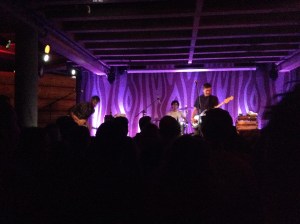 A good look at the friendly fellows